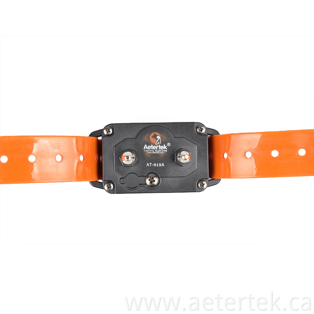 Auto Anti Bark Collar